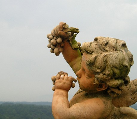 电话炸弹防护业务