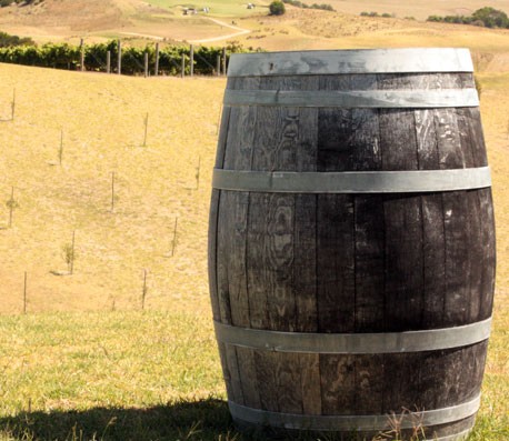 网页免费发手机号